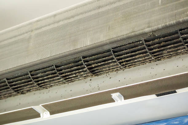 Best Residential Air Duct Cleaning  in Angels, CA